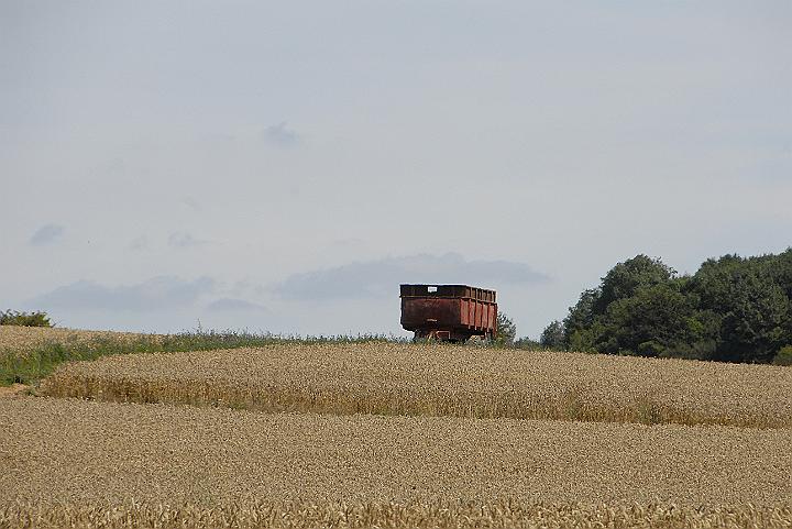 _DPA9609.JPG