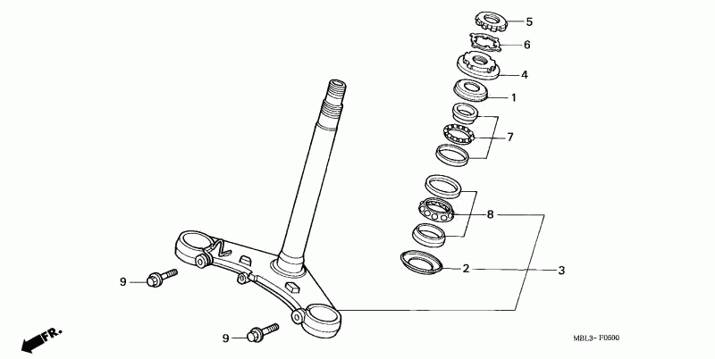 Steering Head Bearings